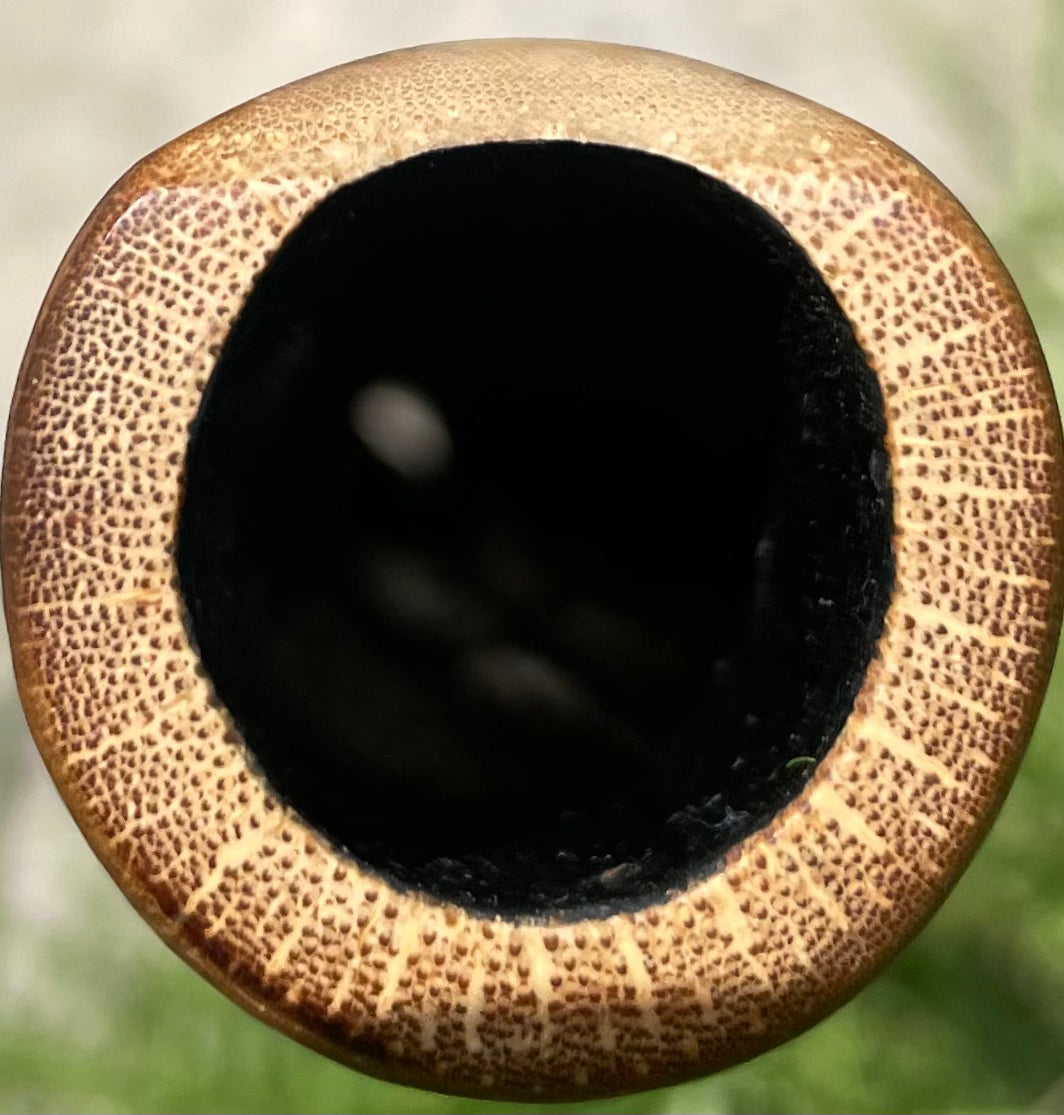 Shakuhachi Flute